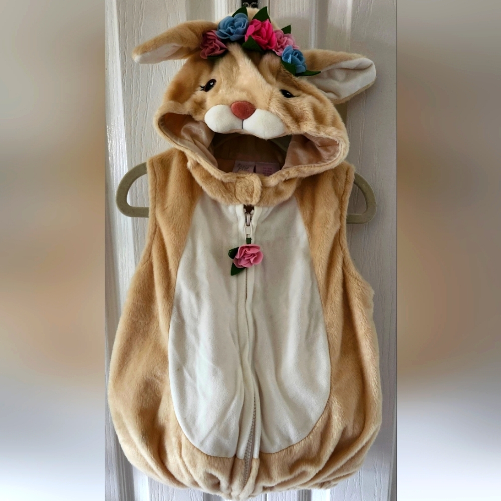 Bunny costume